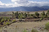 Cultivated wide plateau in the Chinchero   Cusco region